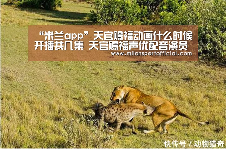 “米兰app”天官赐福动画什么时候开播共几集 天官赐福声优配音演员(图2) 米兰