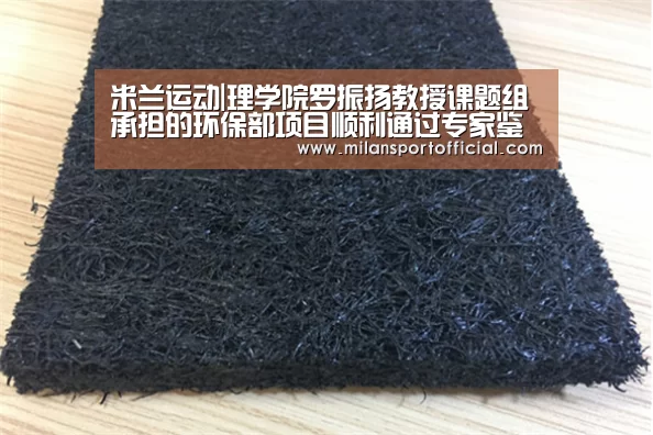 米兰运动|理学院罗振扬教授课题组承担的环保部项目顺利通过专家鉴定