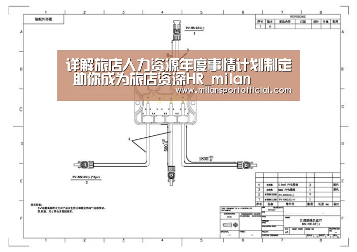 
详解旅店人力资源年度事情计划制定 助你成为旅店资深HR_milan