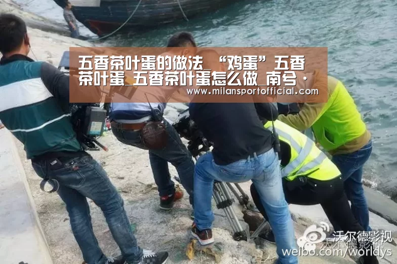 五香茶叶蛋的做法_“鸡蛋”五香茶叶蛋_五香茶叶蛋怎么做_南兮·人间烟火的菜谱“m