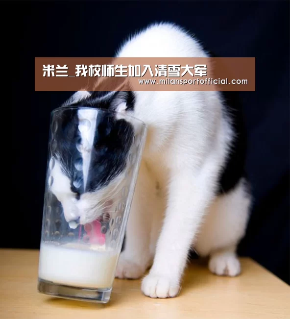 米兰_我校师生加入清雪大军
