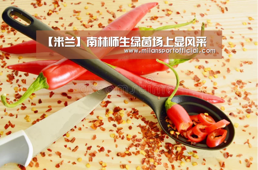 【米兰】南林师生绿茵场上显风采(图2) 米兰运动