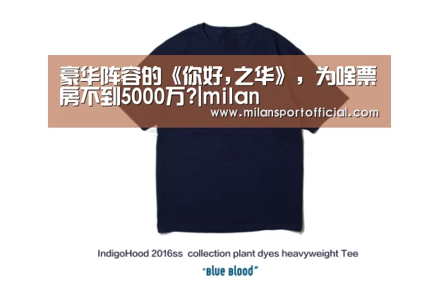 豪华阵容的《你好,之华》,为啥票房不到5000万?|milan(图2) 豪华阵容的《你好,之华》,为啥票房不到5000万?|milan(图2)