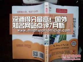 深渊得分最高！国外知名网站点评7月新番|milan